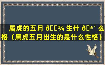 属虎的五月 🌾 生什 🪴 么命格（属虎五月出生的是什么性格）